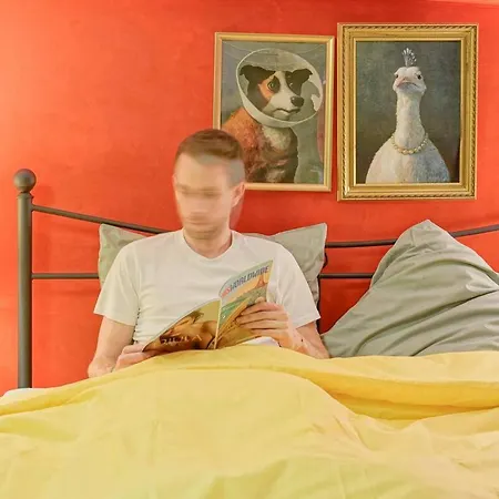Amelie In Apartment